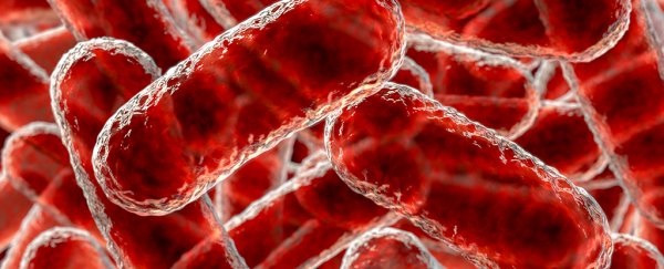 Flesh-Eating Infections Can Spawn From Bacterial Strains Teaming Up, Study Shows