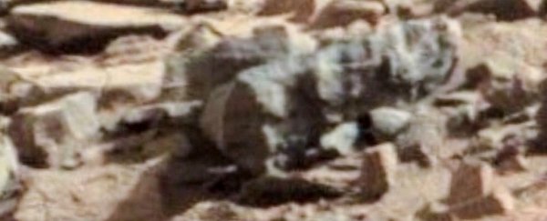 An entomologist claims that Mars is covered in bug-shaped things, and he has 'proof'