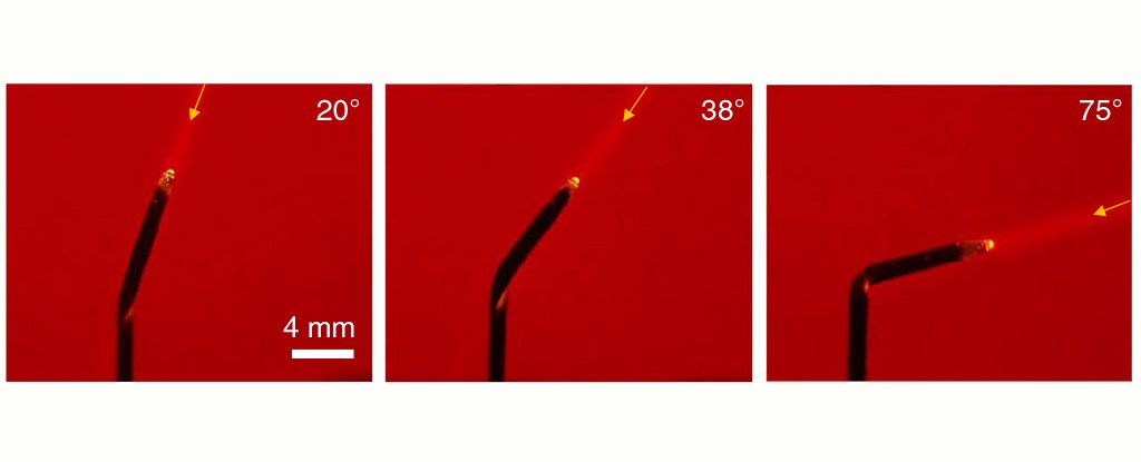 Engineers Create Tiny 'Artificial Sunflowers' That Bend Towards The Light - ScienceAlert