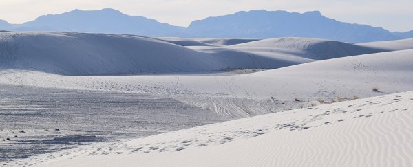 Thousands of years ago, a human stepped in a mammoth print. Those tracks still exist