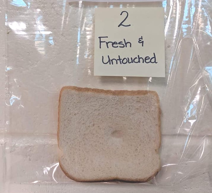 012 bread experiment 5