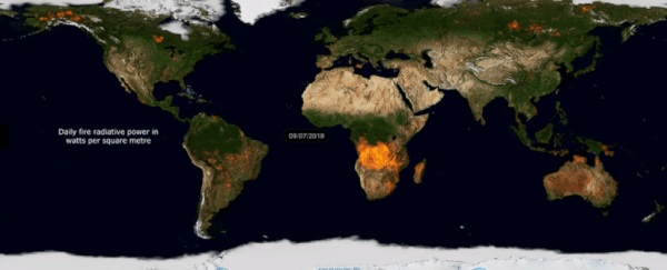Staggering video shows how much of Earth was actually on fire in 2019