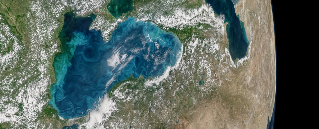 Swirls of an algae bloom in the Black Sea. 