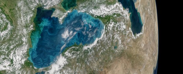 We may have gravely underestimated the threat of 'dead zones' in the world's oceans