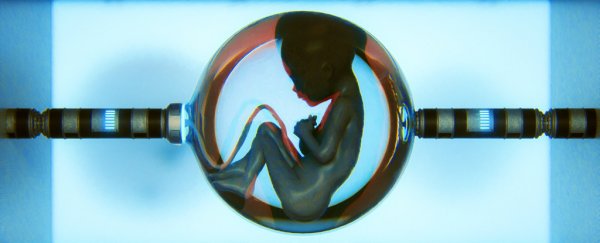 It's time to expand our understanding of what a 'human' is, biomedical experts warn