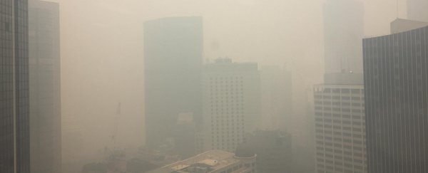 Fires in Australia just pushed Sydney's air quality 12 times above 'hazardous' levels