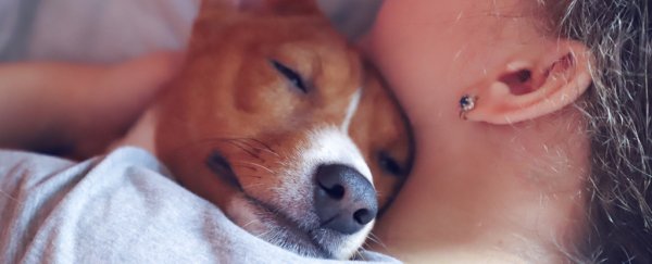 Your ability to recognise dog emotions says something about where you come from
