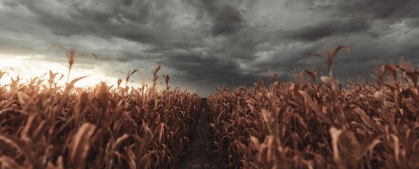 Deadly chains of heatwaves are linked to newly discovered pattern in the atmosphere