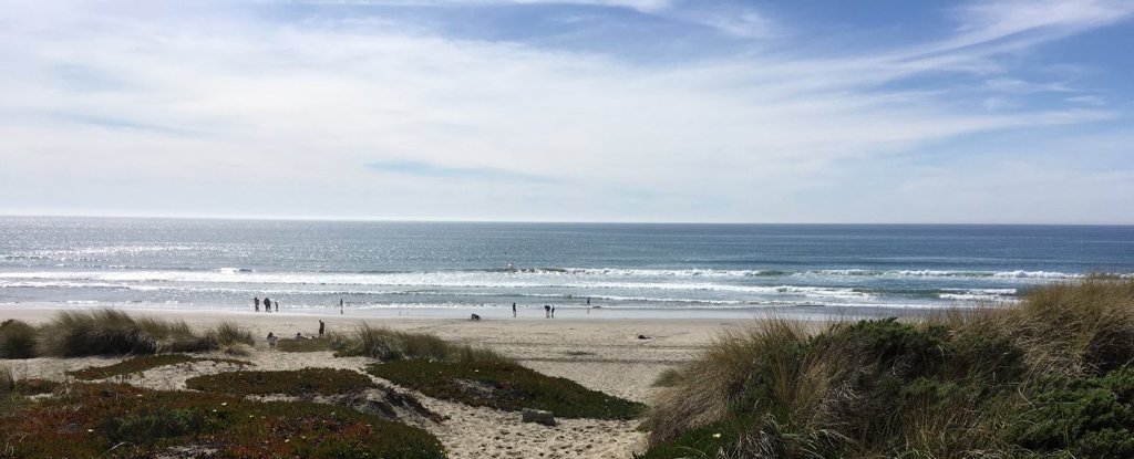 Monterey Bay.