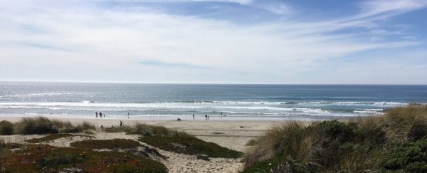 Mysterious tectonic fault zone detected off the coast of California