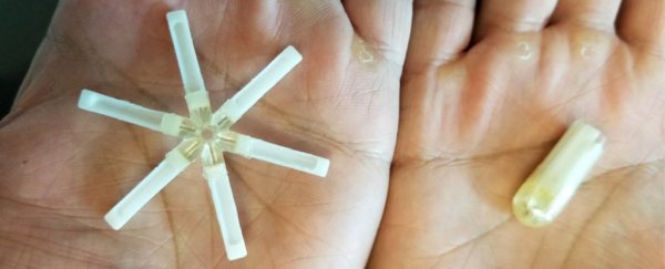 MIT's once-a-month birth control pill has passed a key trial in animals