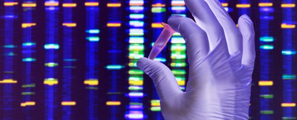 DNA tests make a fun gift but here's what you need to know before you unwrap