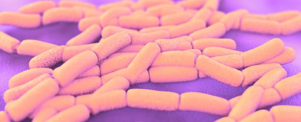Your Irritable Bowel Issues Could Be Caused by a Little-Known Gut Condition