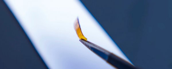 Scientists create a new kind of artificial flesh that heals itself like the real thing