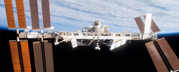 Microgravity seems to neutralise the majority of cancer cells, experiments reveal
