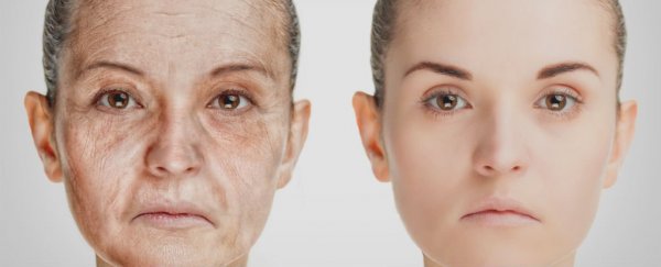 More than 4,000 blood tests suggest our bodies age in 3 distinct shifts