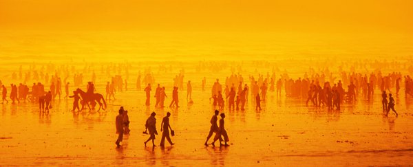 How 2019 became the year when the world woke up to the climate emergency