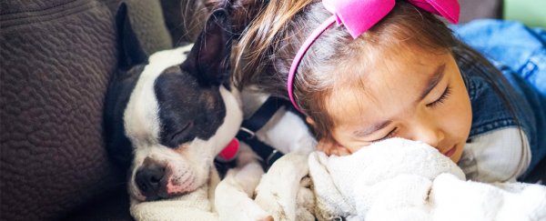 Lower schizophrenia risk and having a dog in childhood could have an interesting link