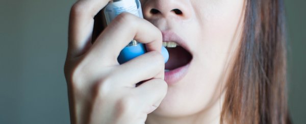 Your airways have a microbiome, and it could even have a link to asthma