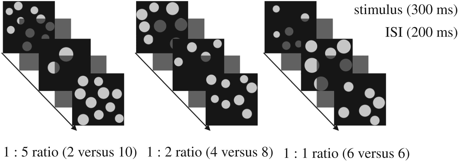 (Aulet et al, Biology Letters, 2019)