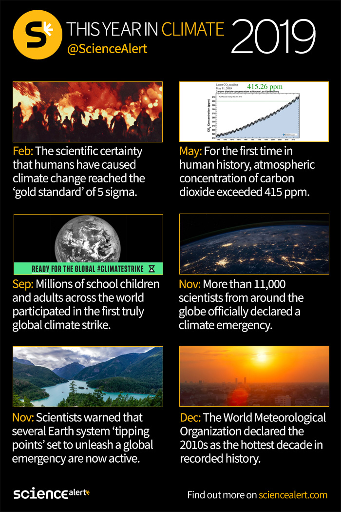 2019 this YEAR in climate