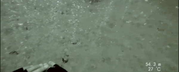 Divers discover a magical bubbling underwater spring on the ocean floor