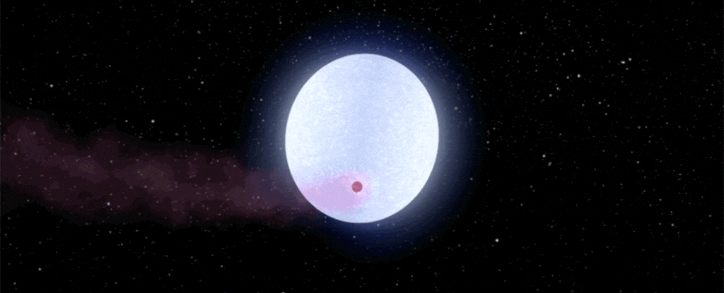 main article image