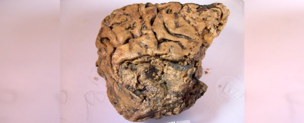 This human brain tissue survived intact for 2,600 years, and we may finally know how