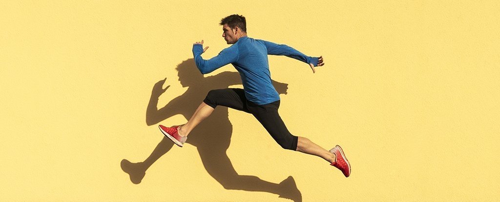 Scientists Identify Natural Protein That Mimics The Effects of Exercise in Animals - ScienceAlert thumbnail