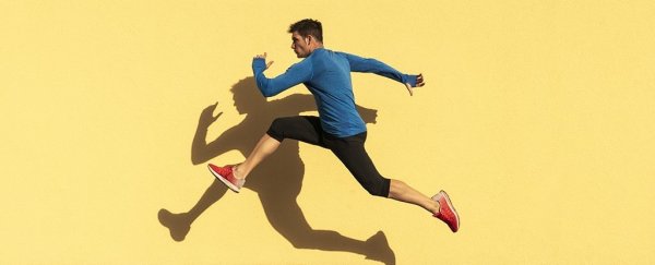 Scientists identify natural protein that mimics the effects of exercise in animals