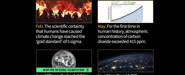 This intense infographic breaks down the biggest climate news of 2019
