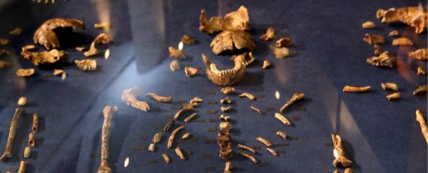 Recent discoveries have overhauled our picture of where humans came from, and when