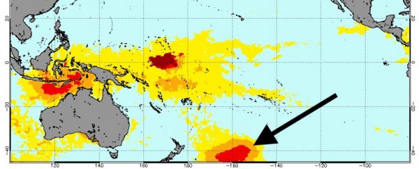 A massive 'blob' of hot water is threatening New Zealand's marine life