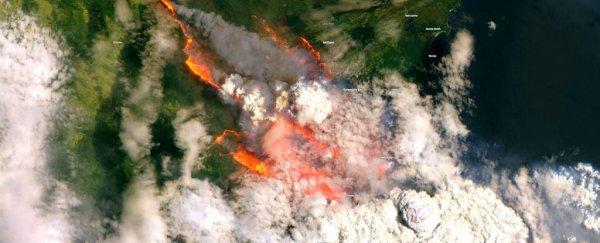 Terrifying images show the overwhelming scale of Australia's bushfires from space