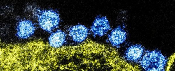 Here's what scientists do and don't know about Wuhan coronavirus so far