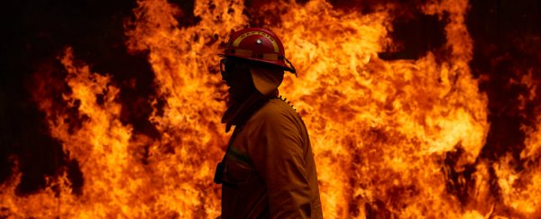Australia's bushfires are horrifying, but researchers think there's more to come
