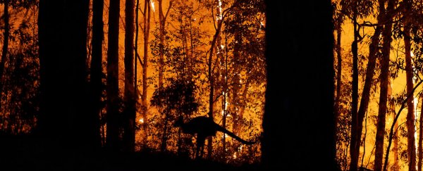 Bushfires have driven mass extinctions on Earth before. They could do it again