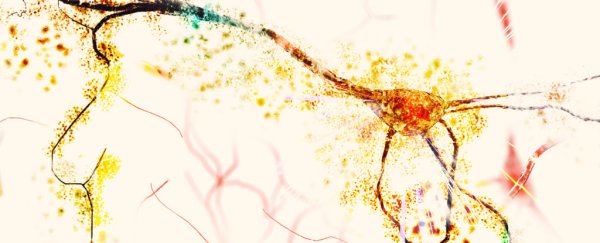 An illustration of a degenerating neuron.
