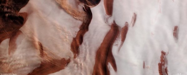 Mars orbiter just sent back an incredible photo of the Red Planet's icy north pole