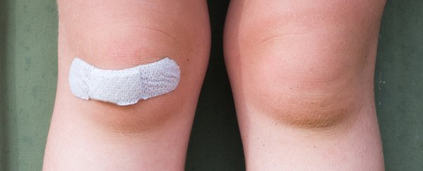 Scientists made a colour-changing bandage designed to detect bacterial infections