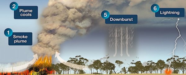 Australia's deadly bushfires are so big they've started generating their own weather