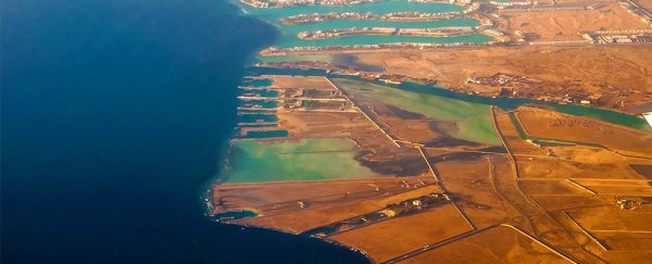 Scientists just found an unexpectedly large source of natural greenhouse gases