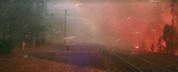 Disturbing video of a firestorm in Australia shows just how quickly they can move