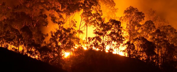 UN Warns Of Extreme Weather Ahead After Declaring Hottest Decade In Recorded History