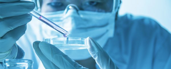 There could be a second Chinese coronavirus case in the US