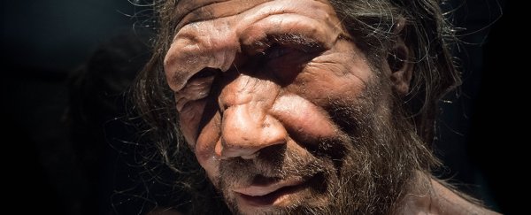 Modern humans with African ancestry have more Neanderthal genes than we thought