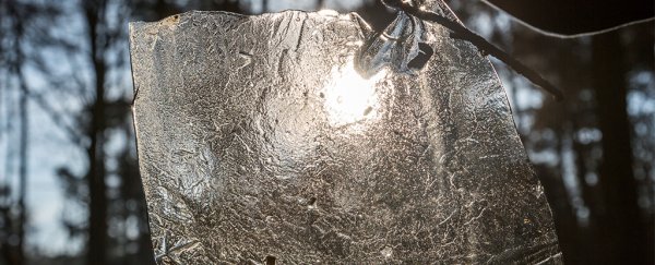 Several ancient viruses have been discovered in 15,000-year-old glacial ice