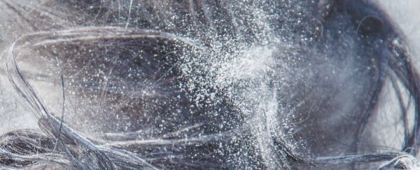 Nanoparticles of fungal spores have been detected floating in our atmosphere