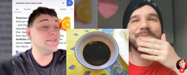 People are dipping their testicles in soy sauce, so here's some science