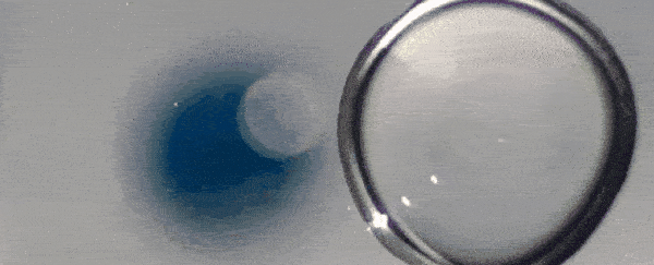 Amazing video footage reveals the moment two separate droplets coalesce into one